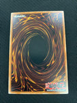 Black-Winged Dragon Ultimate Rare 1st Edition TSHD-EN040 - Yu-Gi-Oh! Single Cards