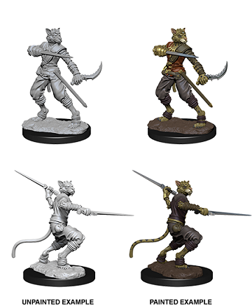 DND UNPAINTED MINIS WV7 MALE TABAXI ROGUE