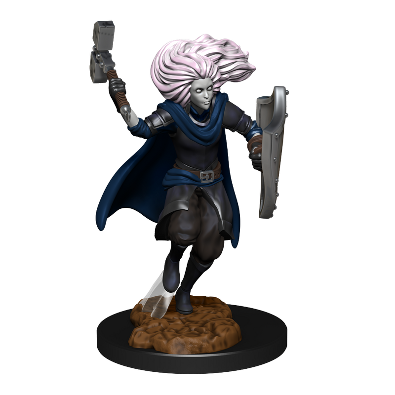 DND UNPAINTED MINIS WV14 CHANGELING CLERIC MALE