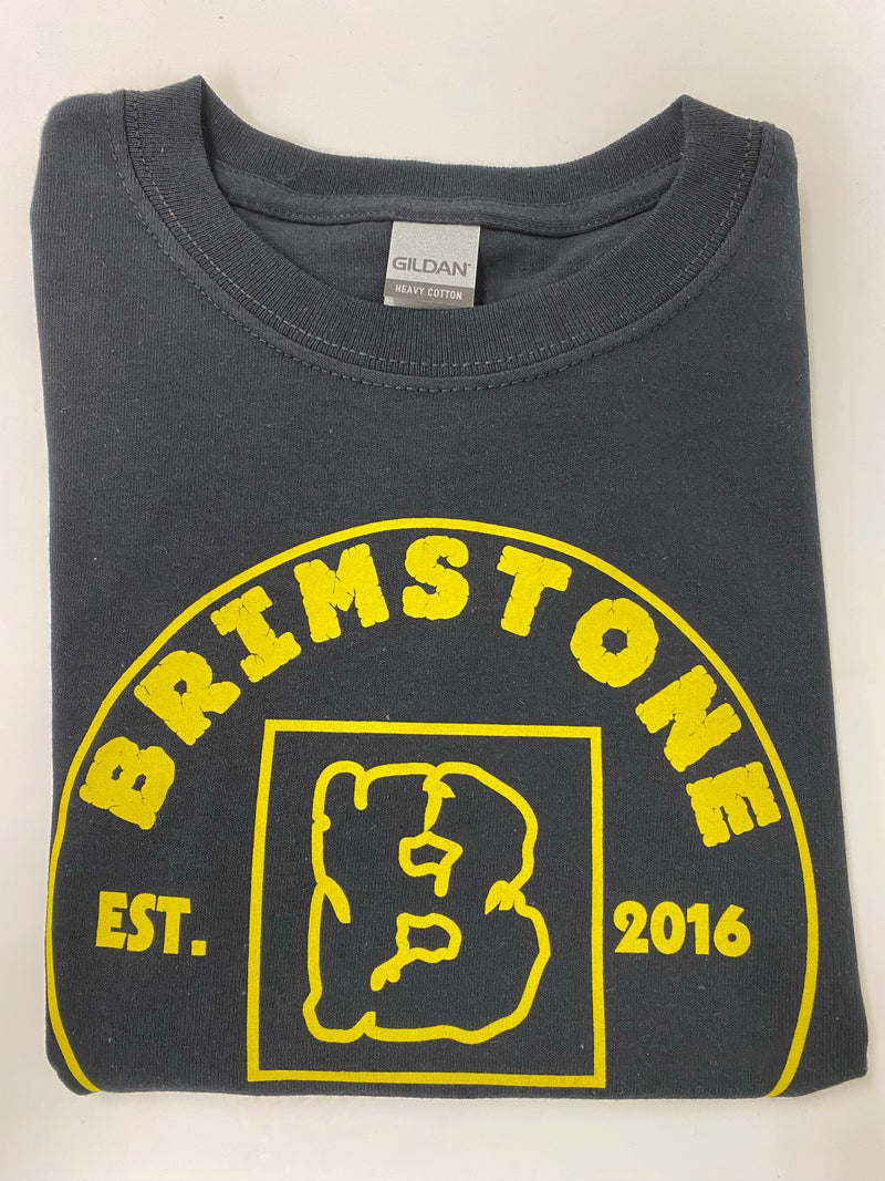 Youth Logo T-Shirts Black w/ Yellow