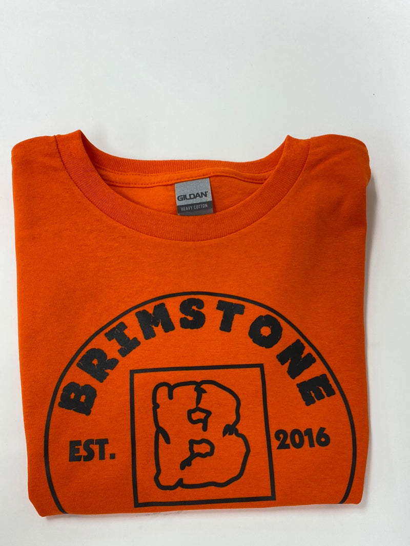 Youth Logo T-Shirts Orange w/ Black