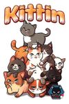Kittin image