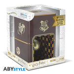 HARRY POTTER COIN BANK OPTICAL ILLUSION